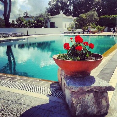 Hotel Al Bosco Forio  Екстер'єр фото